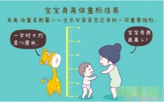 超聲波色色视频网站入口正確測量方法標準身高體