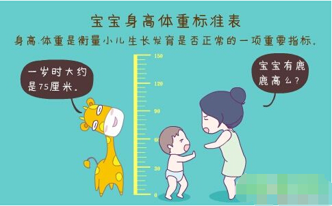 超聲波色色视频网站入口正確測量方法標準身高體重表 超聲波色色视频网站入口正確測量方法標準身高體重表