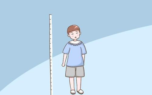 超聲波色色视频网站入口生活水平提高了孩子長高的關鍵期是哪幾個 超聲波色色视频网站入口生活水平提高了孩子長高的關鍵期是哪幾個